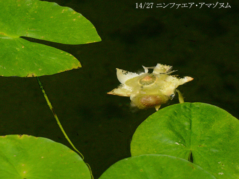 %_tempFileName0-014-n0154-20260614-0180%